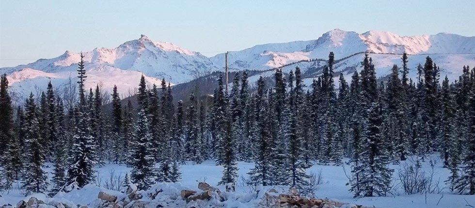 Denali Touch Of Wilderness B&B Healy Εξωτερικό φωτογραφία